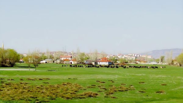 ANKARA AYAŞ TEKKEDE 5 DÖNÜM SATILIK İMARLI ARSA