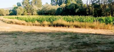 BOLU MUDURNU PELİTÖZÜ KÖYÜ'NDE 3600 M2 SATILIK ARSA — fotoğraf 2