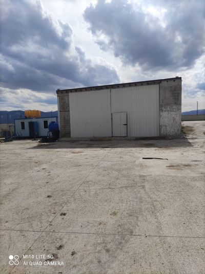 SATILIK BÜYÜYBAŞ HAYVAN ÇİFLİĞİ SAKARYA KAYNARCADA — fotoğraf 3