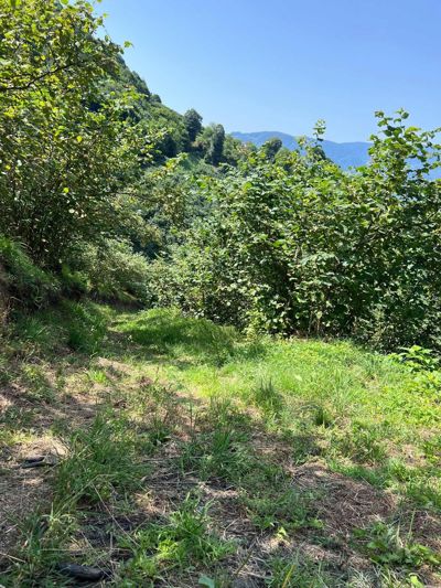 KUZULUKTA RESMİ YOLU AÇIK / PANORAMİK MANZARALI 5.440 M2 BAHÇE — fotoğraf 6